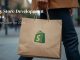 Shopify Store Development in Kenya 2026